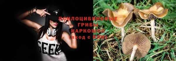 хмурый Краснослободск