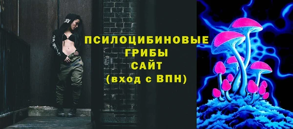 хмурый Краснослободск